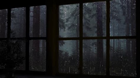Rain On Window With Thunder Sounds Rain In Forest At Night 10 Hours