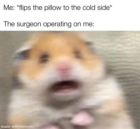 The Cold Side Is The Best Side R Memes