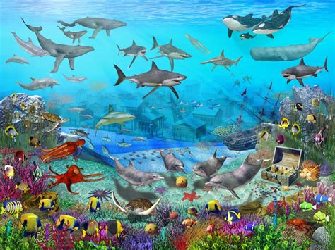 78 Sea Life Wallpapers Wallpapersafari