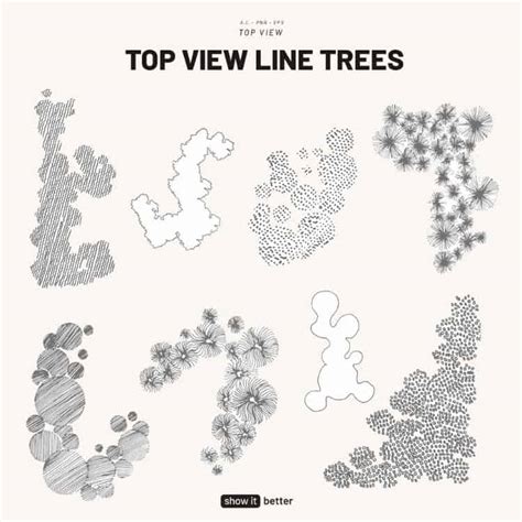Top View Line Trees 3 Show It Better