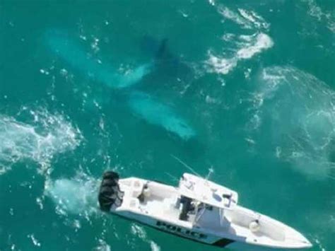 Small Plane Crashes Into Ocean Off Haulover Beach In Miami