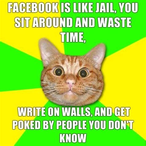 What is facebook jail facebook jail is when you trigger a snowflake, liberal, or employee of facebook by speaking truth that th eem offensive or hurtfu in their sick and twisted minds, causing you to be banned from facebook for a period of time in other words you are not conforming to libtard. Facebook is like jail - You laugh, you lose!