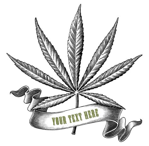 Cannabis With Ribbon Logo Hand Draw Vintage Engraving Style Black And