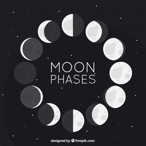 Phases Of The Moon Sketch At Explore Collection Of