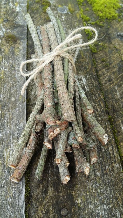 Natural Pine Tree Sticks Wooden Twigs Wood Branches Dried Etsy