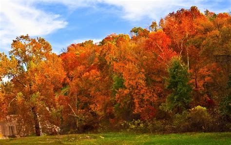 oklahoma fall foliage and festivals oklahoma s official travel and tourism site