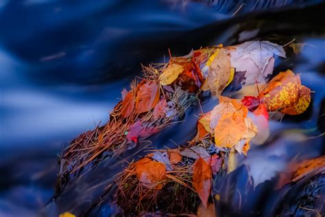 Download Tags Nature Landscapes Landscape Stone River Autumn Leaves