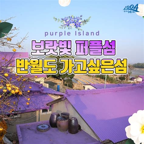국회 정부가 년부터 비치는 음식물 투수 계산대에 했다. 신안군청 - 퍼플섬은 이렇게 예쁘게 변해가고 있어요:) 반월도 ...