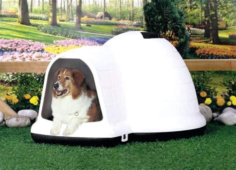 Igloo Dog House For Sale Compared To Craigslist Only 3 Left At 65