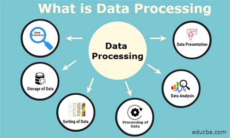 Data Processing Mahakali Web Technology