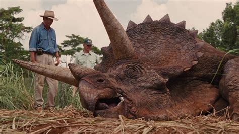 Why Was The Triceratops Sick In Jurassic Park Rmovies