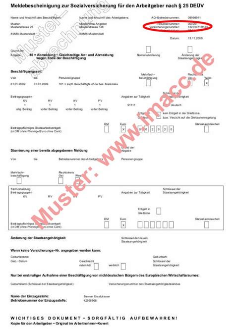 Mit nebenjobs kannst du wertvolle beitragszeit rentenversicherung als student? Rentenversicherungsnummer finden So einfach geht's!