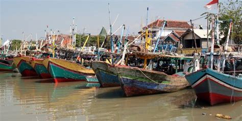 KKP Setoran PNBP Sektor Perikanan Tangkap 2021 Tertinggi Sepanjang