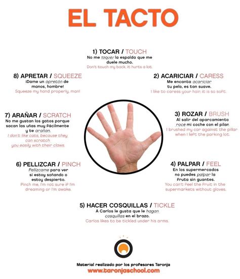 ♥♥♥ Expresiones Relacionadas Con El Tacto English Aprender Español