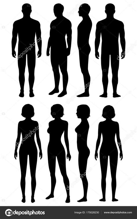 Images Of A Human Body Front And Back Clipart Female Body
