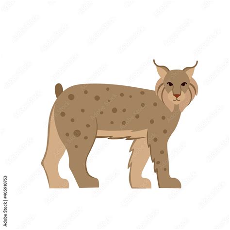 Cartoon Lynx On A White Backgroundflat Cartoon Illustration For Kids