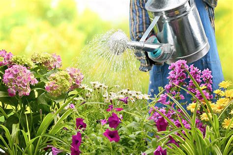 Gardening Secrets 40 Top Gardening Tips And Tricks