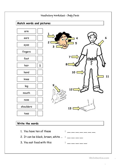 Introduce the topic with rhymes and songs like head, shoulders, knees and toes or if you're happy, and you know it or games like simon reiterate the concept with this name the body parts worksheet. Vocabulary Matching Worksheet - Body Parts (1) - English ...