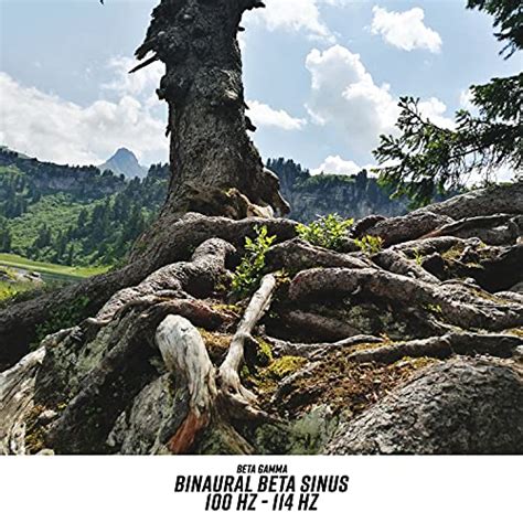 Amazon Music Unlimited Beta Gamma 『binaural Beta Sinus 100 Hz 114 Hz』