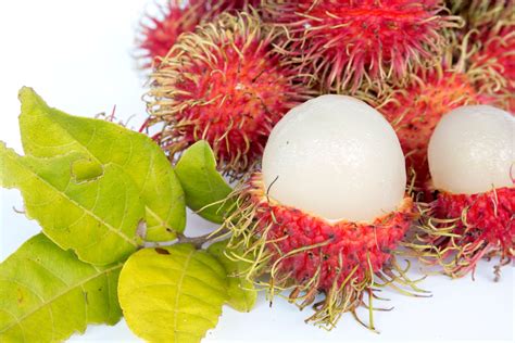 Fruta Marrom Por Fora E Branca Por Dentro