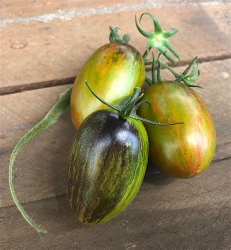 Atomic Grape Heirloom Tomato Premium Seed Packet · Sherwoods Seeds