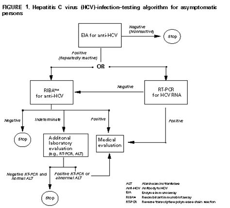 Hepatitis C In Pregnancy