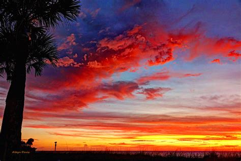 Sunset West Coast Of Florida Usa Albyn Davis Flickr