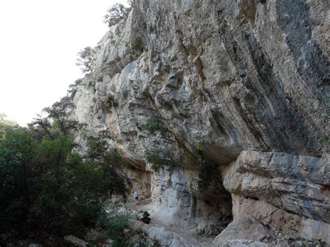 Les joncas, un site d'escalade incontournable près de la vallée de l'hérault. Site d'escalade Le Joncas - info, topo, localisation...