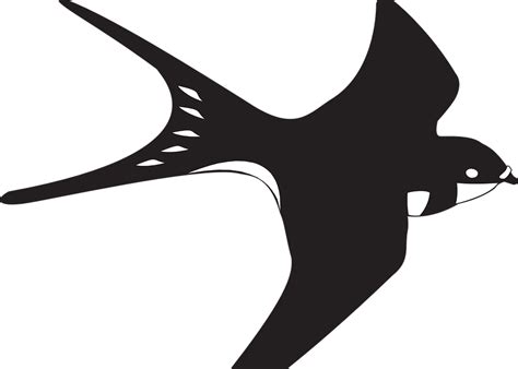 Download now cinta hati dengan burung pernikahan kue bendera hitam putih. Gambar Burung Animasi Hitam Putih - Gambar Burung