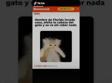 Hombre De Florida Invade Casa Afeita La Cabeza Del Gato Y Se Va Sin