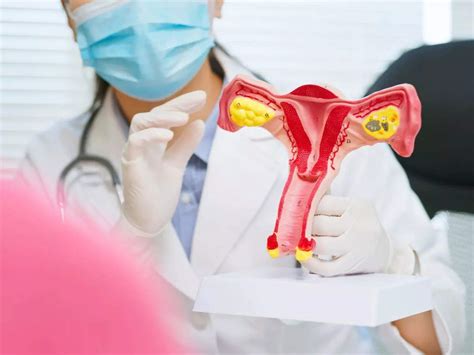 Some Women Have Two Vaginas The Condition Is Called Uterus Didelphys The Times Of India