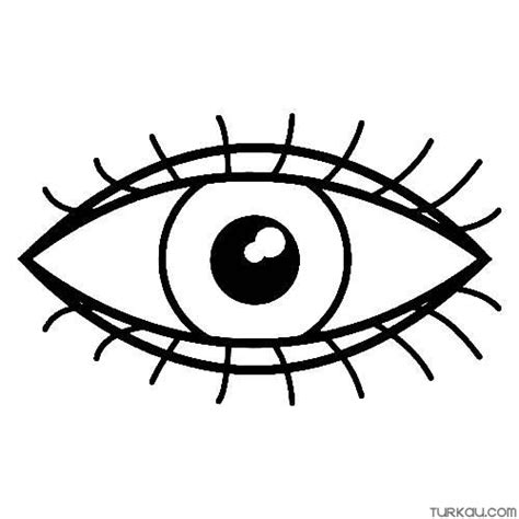 Colouring Of Eyeball Coloring Pages Turkau