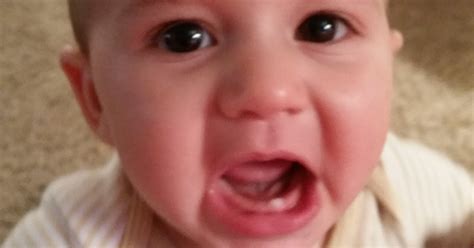 My Baby 8 Months Has No Teeth Teethwalls