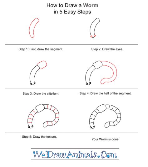 How To Draw A Simple Worm For Kids