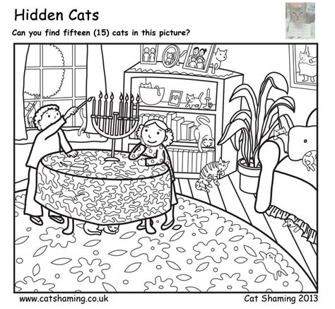 Hidden Cats Cat Shaming