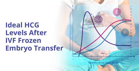 Understanding Hcg Levels Post Ivf Frozen Transfer Birla Fertility And Ivf