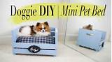 Pictures of Mini Beds For Dogs