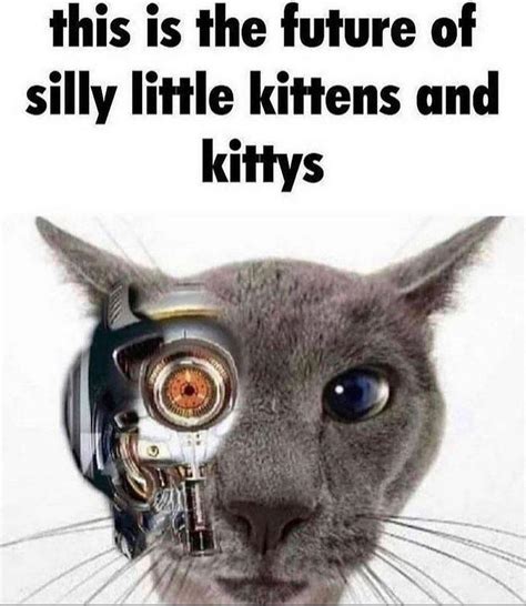 This Is The Future Of Silly Little Kittens And Kittys Silly Cats