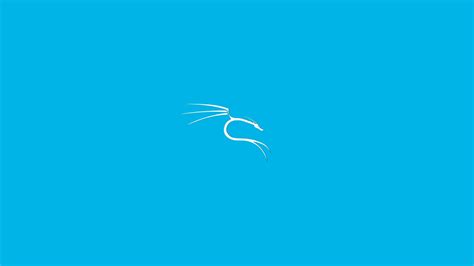 Maybe you would like to learn more about one of these? 4k Desktop Kali Linux Wallpapers - Wallpaper Cave