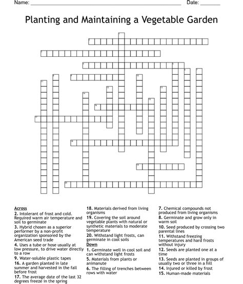 Planting And Maintaining A Vegetable Garden Crossword Wordmint
