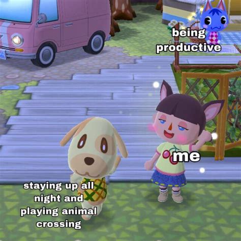20 Funny Animal Crossing Memes When Tom Nook Has Other Plans
