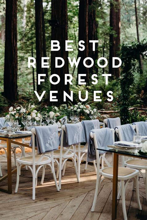 Best Redwood Forest Wedding Venues In California Melissa Ergo