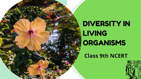 Diversity In Living Organisms Class Th Science Cbse Guides