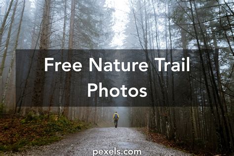 1000 Engaging Nature Trail Photos Pexels · Free Stock Photos