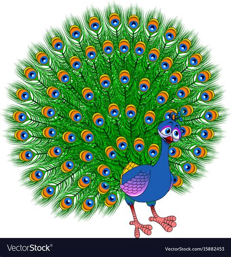 Peacock Royalty Free Vector Image Vectorstock