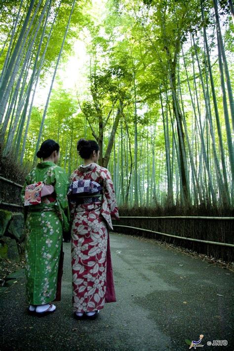 Japanese Girls Dressed In Kimono Admiring Arashiyama Bamboo Forest