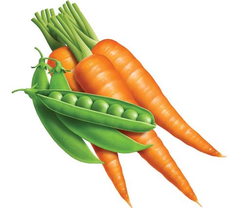 Fresh Fruit And Vegetables Clip Art
