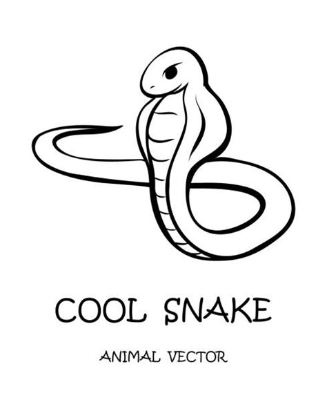 Chinese Snake Illustration