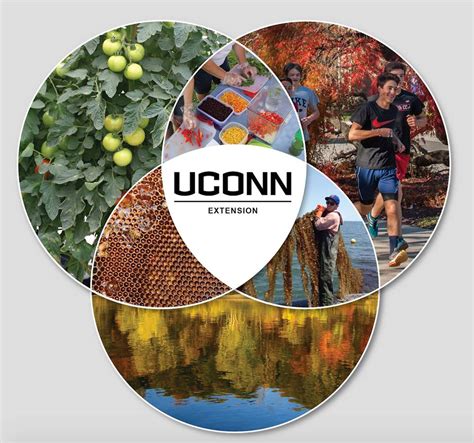 Ask Uconn Extension Extension News