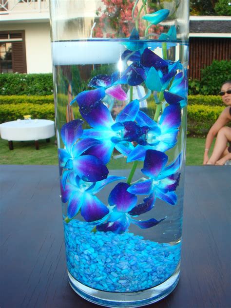 blue dendrobium orchids submerged in water designed by melanie miller blue orchid wedding